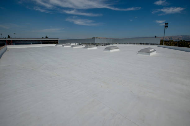 Best Solar Panel Roofing Installation  in Buhl, ID
