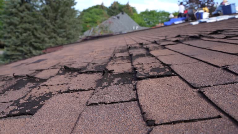 Hot Roofs