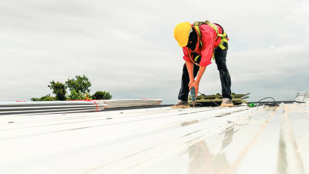 Best Roofing for New Construction  in Buhl, ID