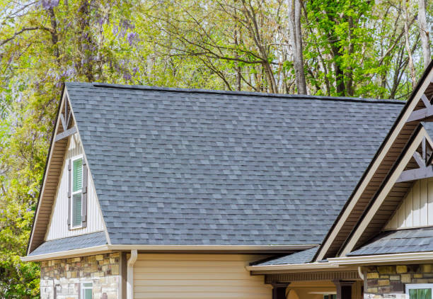 Best Chimney Flashing Repair  in Buhl, ID